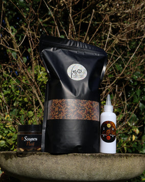 Solid bag session pack