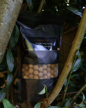 Boilies 1kg 16/14/11mm