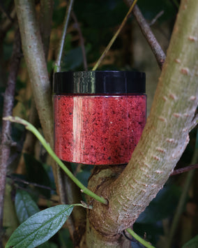 Hookbait Booster powder 100g
